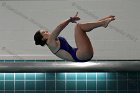 Women's Diving  Wheaton College Women’s Diving vs Mount Holyoke College. - Photo by Keith Nordstrom : Wheaton, Swimming & Diving